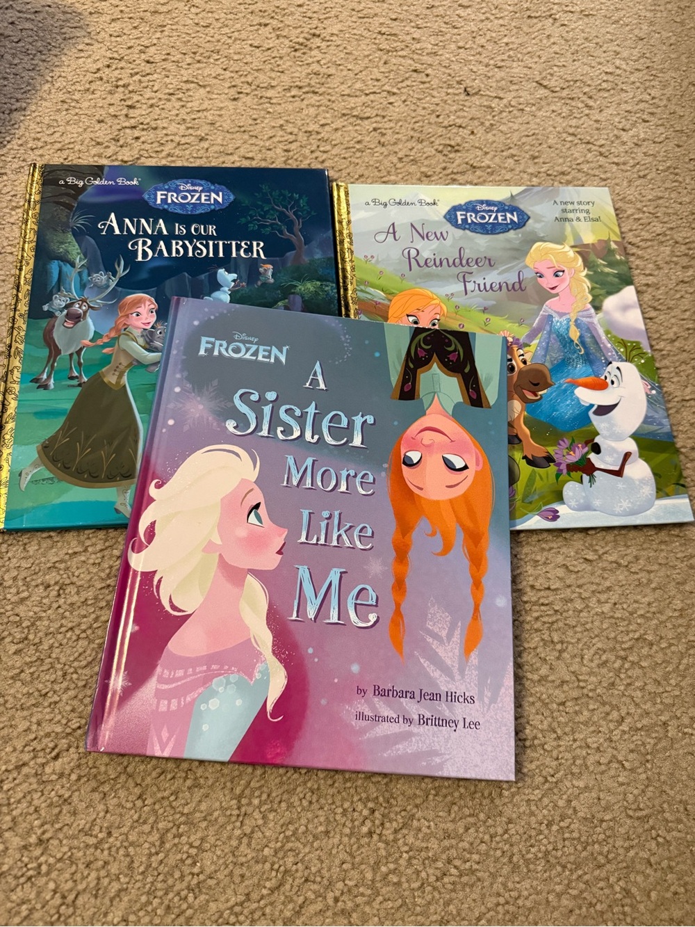 Disney Frozen Children's Book Set - 3 large hardcover Books